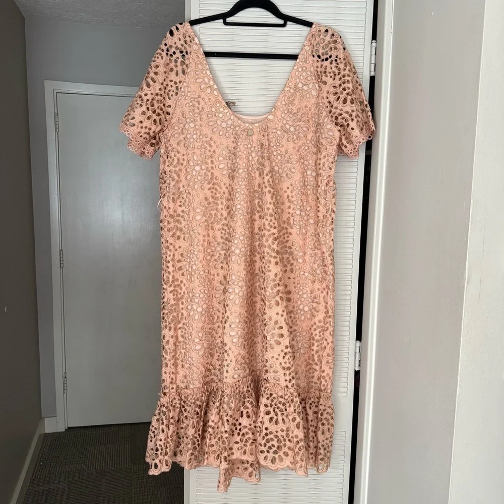 DX Collection Elegant Pink Peach Lace Dress Gold and Ruffle Detail - Picture 3 of 7